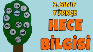 2 Sınıf Türkçe Hece Bilgisi  Hecelerine Ayırma [upl. by Acey]