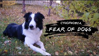 Facing Fears  A Journey Through Cynophobia 3 Minutes [upl. by Owiat368]