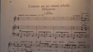 Habanera from Carmen Piano Accompaniment [upl. by Horatio]