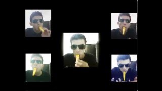 The Final Countdown Kazoo cover [upl. by Nylyram]