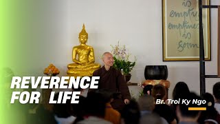 Reverence For Life  Dharma Talk by Br Troi Ky Ngo  Wake UP Retreat 2024 [upl. by Inal]