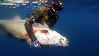 Spearfishing for Mulloway  Jew fish on offshore reefs and pinnacles [upl. by Dimmick]