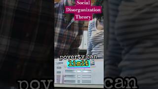 Social Disorganisation Theory socialdisorganizationtheory socialpsychology socialtheory society [upl. by Emylee]