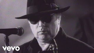 Van Morrison  Days Like This Official Video [upl. by Ylevol]