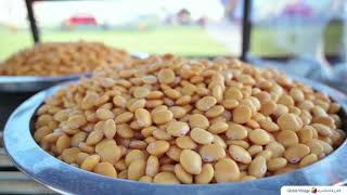 Lupini Beans at Global Village [upl. by Johnny573]