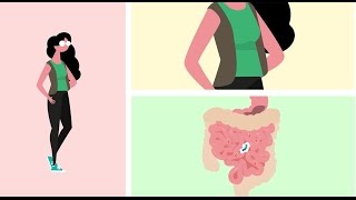 Les probiotiques Comment ça marche avec le lactobacillus gasseri [upl. by Nerual]