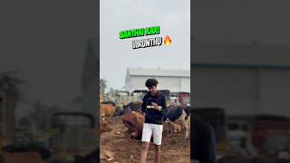 Santhai kari viruthu in Erode  🔥 [upl. by Rozalie]