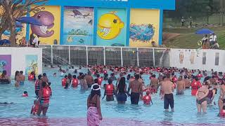 Happy Island Johannesburg wave pool [upl. by Portugal]