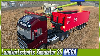 LS25 ► Verkauf und Reinvestitionen  MEGA Farming Simulator 25 s2e13 [upl. by Jeggar]