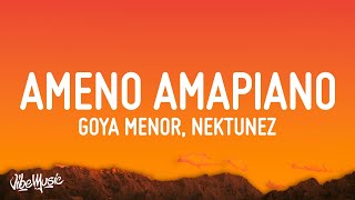 Goya Menor Nektunez – Ameno Amapiano Remix you want to bamba you want to chill with the big boys [upl. by Eilsil]