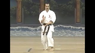 Chitoryu 50th Anniversary Demonstration — 1996 [upl. by Langbehn]