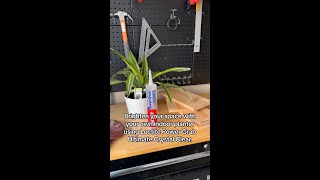 DIY Indoor Planter Box with Loctite® Power Grab® [upl. by Trudnak550]