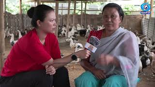 Agriculture Programme Loubuk Maikei Panglashi  Livestock Rearing on Duckery at Kangla Siphai [upl. by Avin]