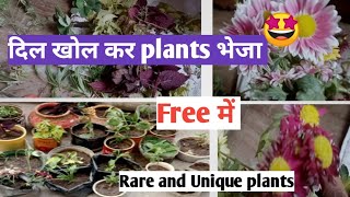 Rare and unique plants free of cost [upl. by Weinman]