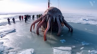 What Russian Scientists Discovered In Antarctica TERRIFIES The Whole World [upl. by Wilscam]