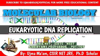 Eukaryotic DNA REPLICATION  Molecular Biology  CSIR NET  GATE  DBT  NEET [upl. by Yael687]