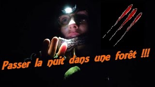 PASSER UNE NUIT DANS UNE FORET  Forest craft [upl. by Lorenz]