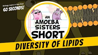 Diversity of Lipids  Amoeba Sisters Shorts [upl. by Ohl]