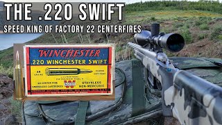 220 Swift  The Speed King of the Factory 22 Centerfire Cartridges [upl. by Naeruat]