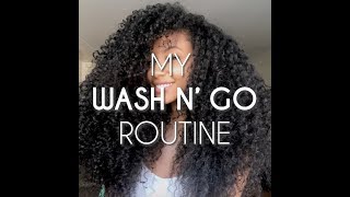 Miss USA Cheslie Krysts Favorite Wash N Go Routine [upl. by Emelina665]