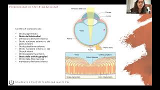 Anatomia e Fisiologia  Occhio [upl. by Nylknarf9]