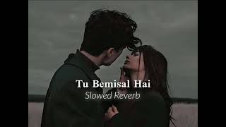 Tu Bemisal Hai Slowed Reverb [upl. by Heurlin]