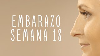 Calendario De Embarazo  Semana 18 [upl. by Icken]