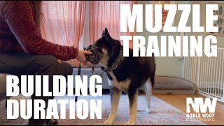 Muzzle Training Building Duration In The Muzzle [upl. by Schoening]