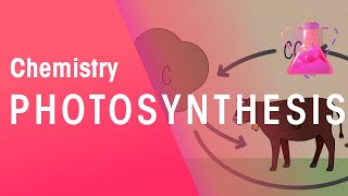 Photosynthesis amp Respiration  Reactions  Chemistry  FuseSchool [upl. by Abrahamsen]