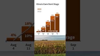 Illinois Crop Progress and Condition Report for Week Ending September 1 2024 usda [upl. by Werna]