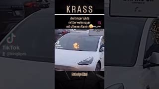 Neue Tesla Winteredition mit gemütlichem Kamin 😅 tesla fun meme kamin fire elonmusk reel [upl. by Haven]