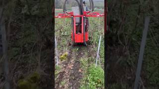 4 Row Fertilizer Spreader For Orchards amp Vineyards  Made By ECO MULCH France  shorts [upl. by Ann-Marie910]