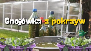 GNOJÓWKA Z POKRZYWY  OD ZERWANIA DO PODLEWANIA [upl. by Sirotek956]