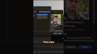 Adding your collection of LUTs into Colorista shorts maxoncolor redgiant [upl. by Llerref]