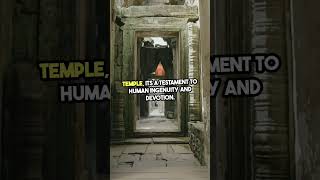 Angkor Wat a Marvel explore travel cambodia angkorwat asia architecture shorts [upl. by Ahsaercal865]