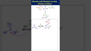 Boronic acid Mannich reaction Petasis reaction [upl. by Hgielak157]