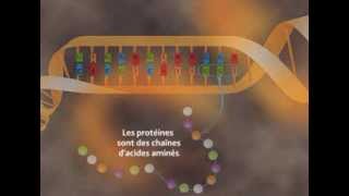 Les effets des rayonnements sur la santé [upl. by Allrud]