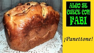 PANETTONE con CHOCOLATE en PANIFICADORA de LIDL Silvercrest F2 ¡FÁCIL Y SABROSO [upl. by Hewet]