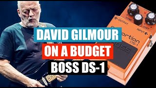 How to sound like David Gilmour on a budget  Boss DS1 [upl. by Simons]