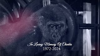 In Loving Memory Of Charles 19722024 [upl. by Paige]