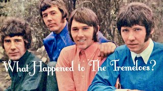 What Happened to The Tremeloes [upl. by Caterina808]