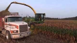 John Deere 795012 row 692 Cutting Sorgum [upl. by Wyatan]