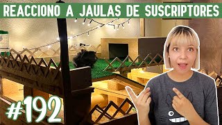 REACCIONO a JAULAS para CUYOS 😃 ¡De mis suscriptores [upl. by Weed]