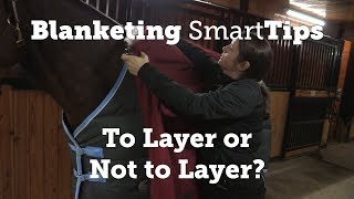 Horse Blanketing SmartTip To Layer or Not to Layer [upl. by Che]