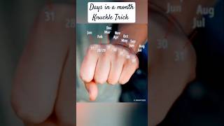 Days in a month Knuckle Trick 🤯🤯 knuckles months days [upl. by Cade23]