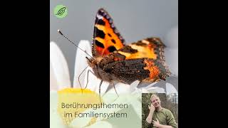 57 Johannes Schmidt Berührungsthemen im Familiensystem [upl. by Ced]