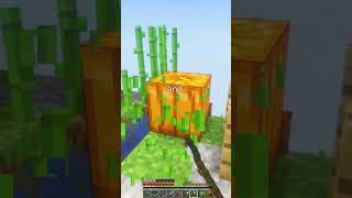 This server is better than Hypixel Skyblock [upl. by Nnylcaj]