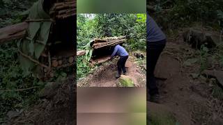 Make A Shelter Hanging On A Tree To Survive Alone In The Forest bushcraft camping camp building [upl. by Morena843]