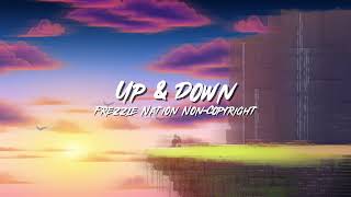 Up amp Down  Frezzle Nation Non Copyright Music [upl. by Woothen]