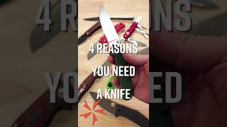 4 Reasons You NEED a KNIFE [upl. by Surdna865]